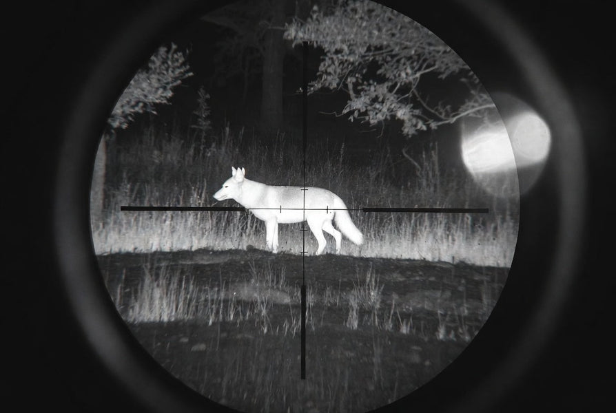 Optics & Sights